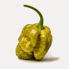 Pepper X: The World’s Hottest Chili Pepper and Its Fiery Legacy pepper x
